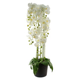 110cm Large White Orchid Plant - Artificial - 41 REAL TOUCH flowers