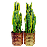 Honeycomb Metal Planter - 18cm x 15.5cm