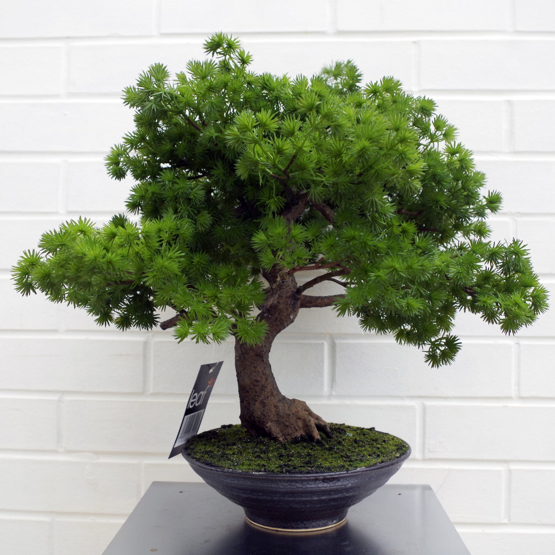 buy bonsai tree uk 50cm Artificial Luxury Pine Bonsai Tree