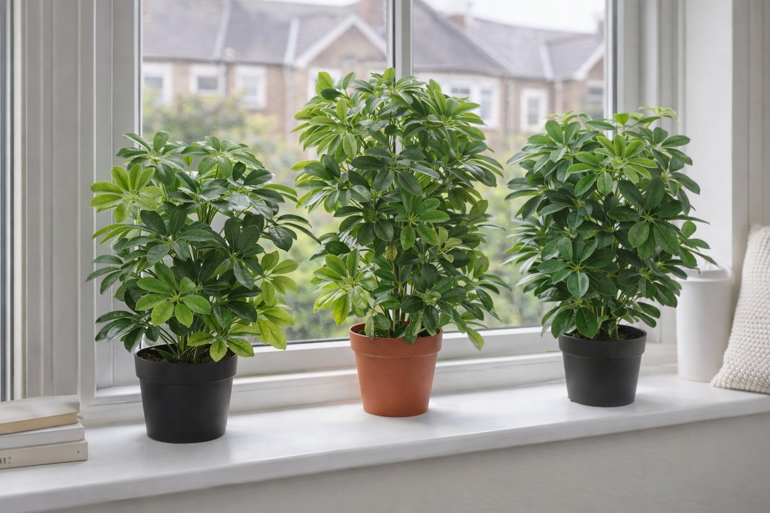 Large Artificial Plants UK: Complete Buying Guide