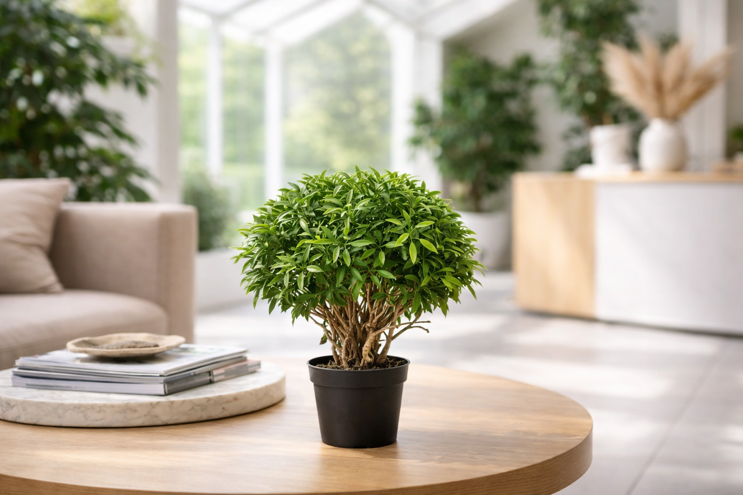 Using Artificial Plants to Frame Furniture
