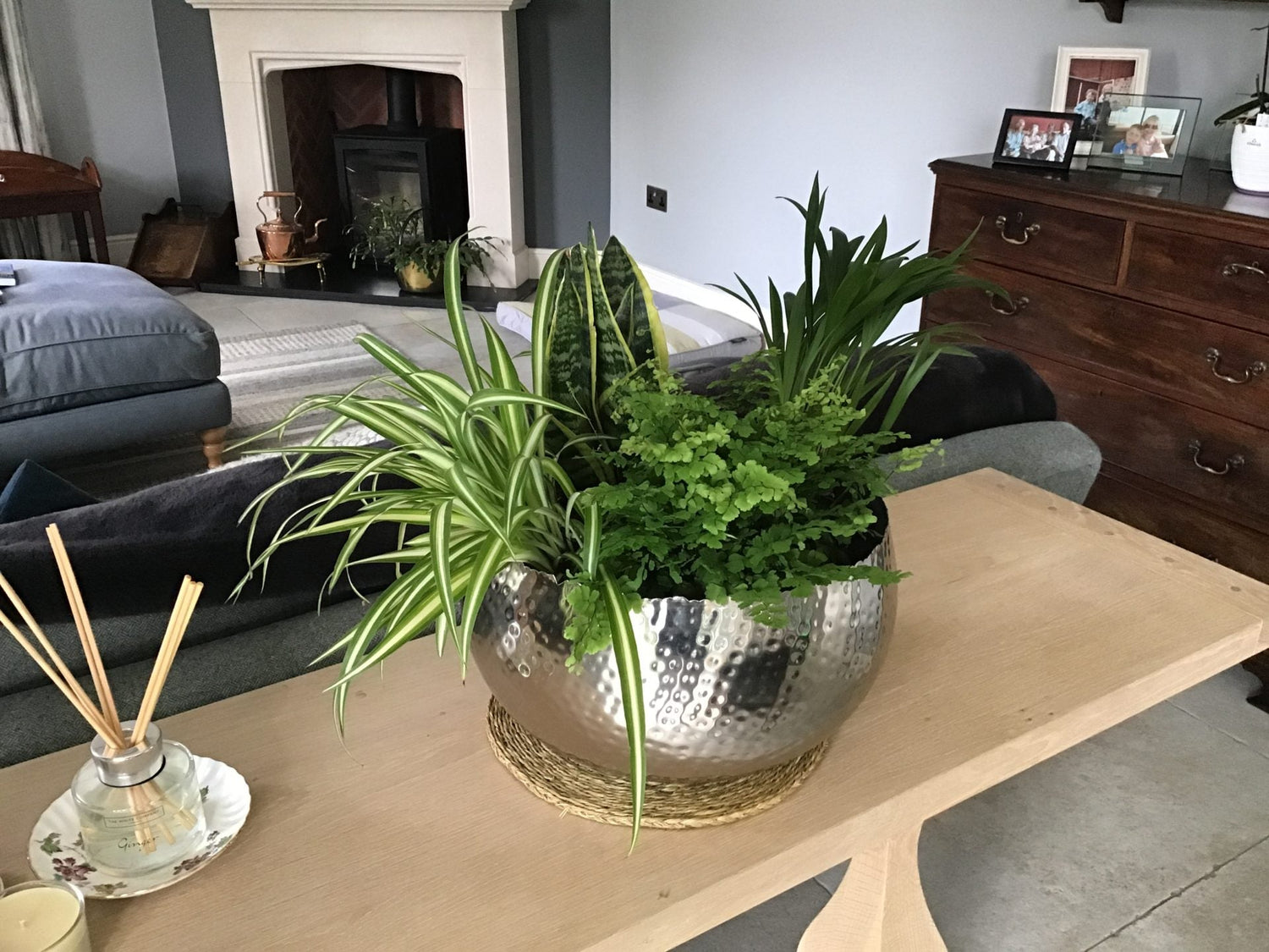 Customer Photo - Silver Large Planter