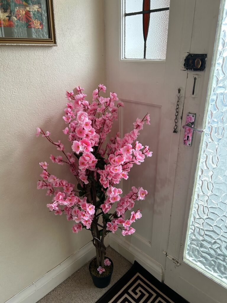 Customer Photograph - Pink Blossom Trees