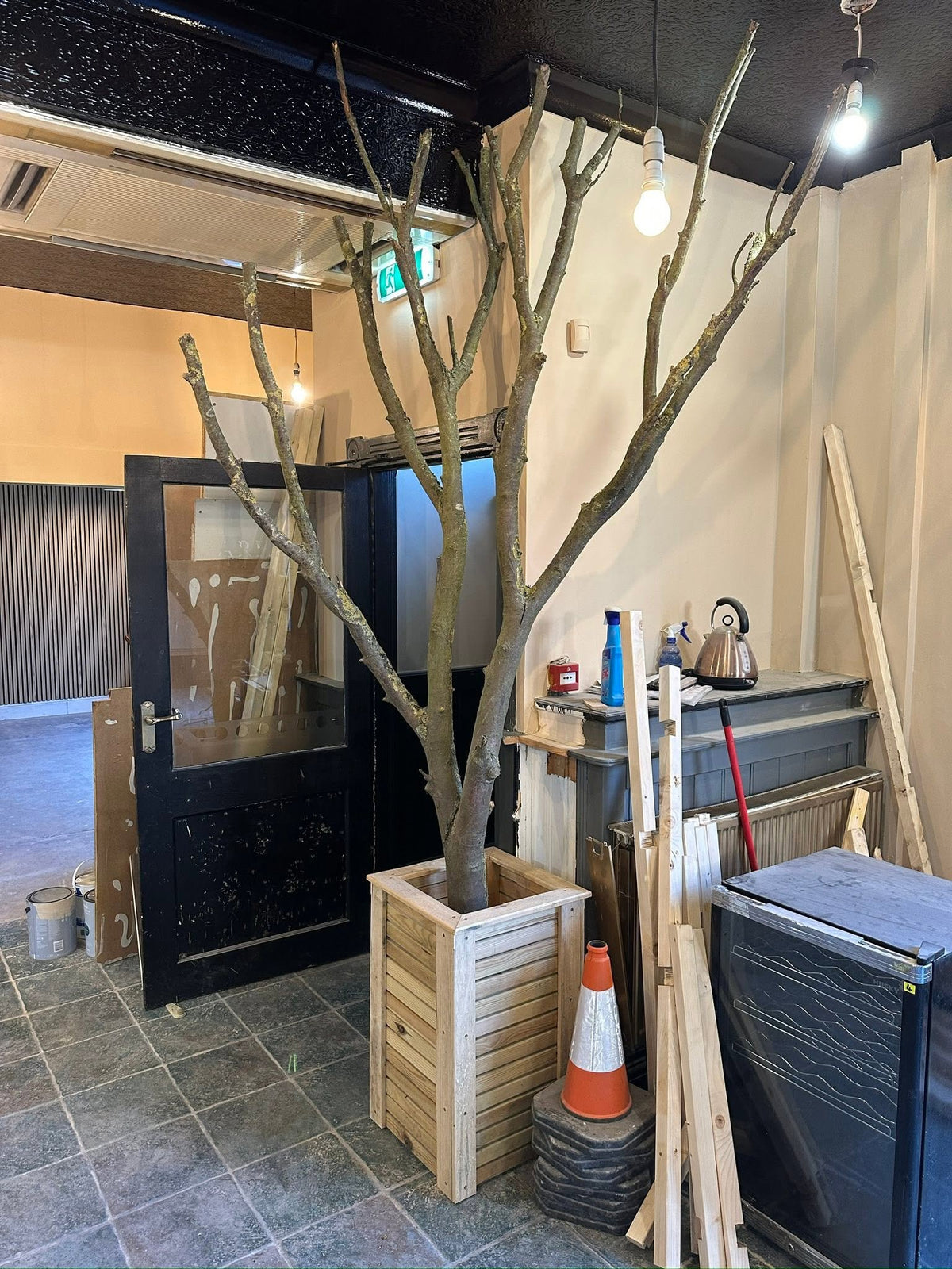 Kyoto Restaurant Louth cherry blossom installation – kyoto bare tree trunk before
