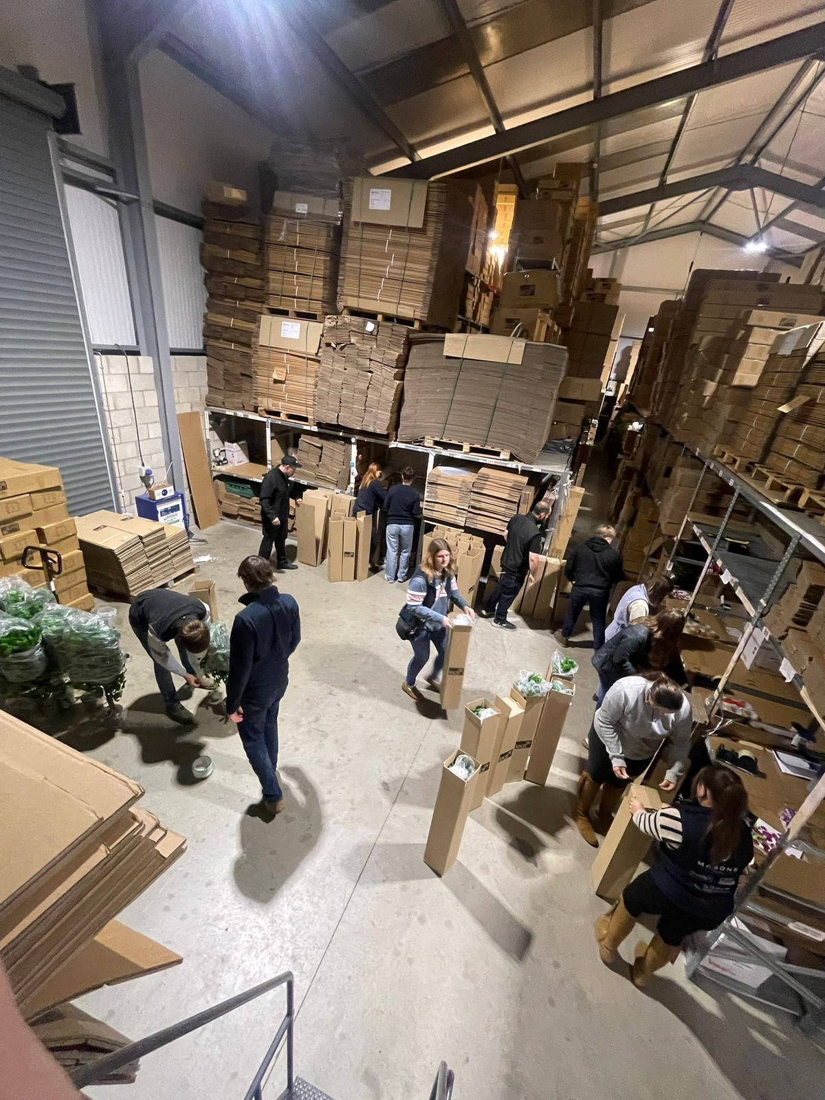 Louth Young Farmers volunteering at the Leaf warehouse – packing
