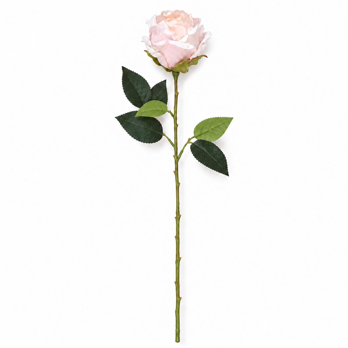 55cm Artificial Rose Stem – image 8