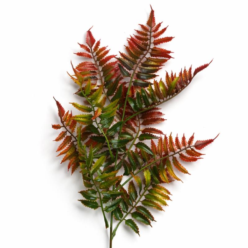 50 cm Künstlicher Farnstiel – Herbstorange