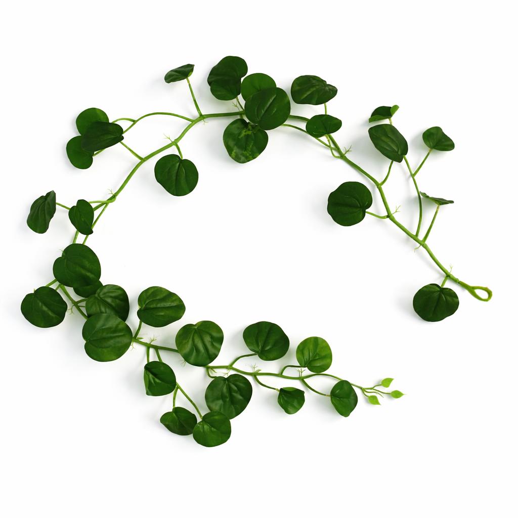 Guirlande décorative de feuilles de Pilea rondes artificielles de 160 cm
