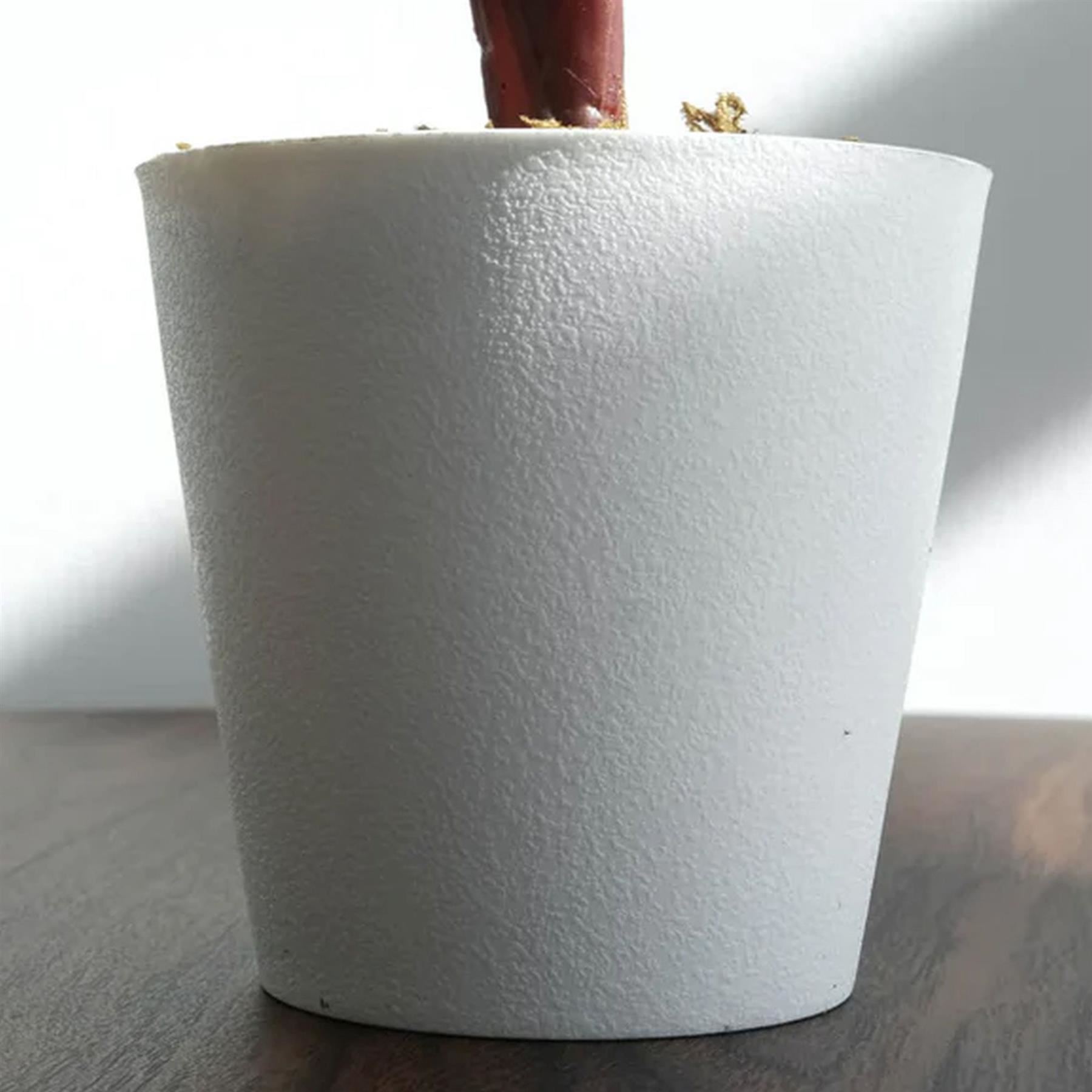 38cm Potted Artificial Calathea Veitchiane Plant