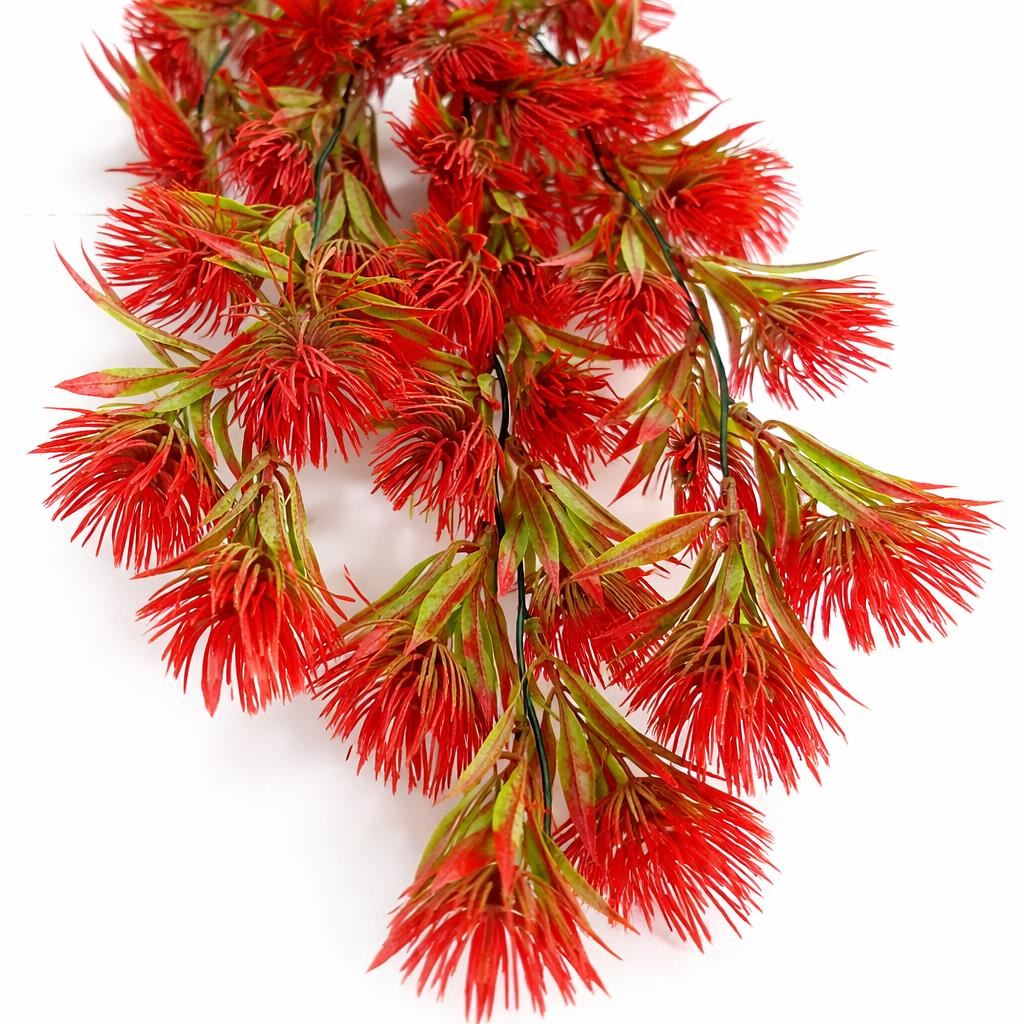 Red thistle trailing hanging plant
