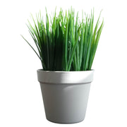 22cm Artificial Grass Plant Potted Mini Display