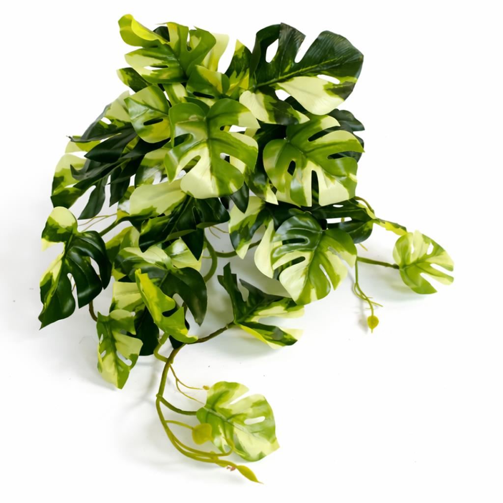 Plante artificielle Monstera panachée retombante de 25 cm