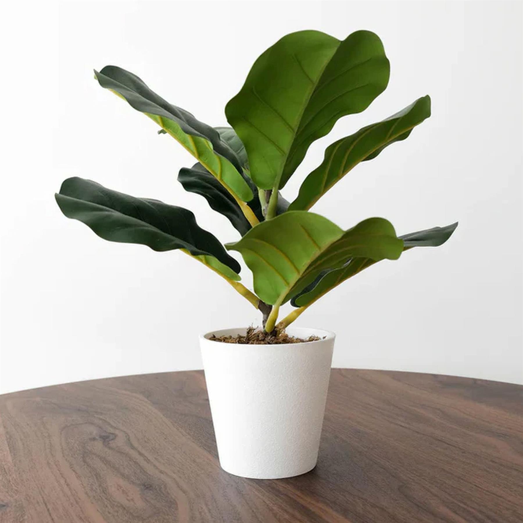 38cm Potted Artificial Fiddle Fig Plant