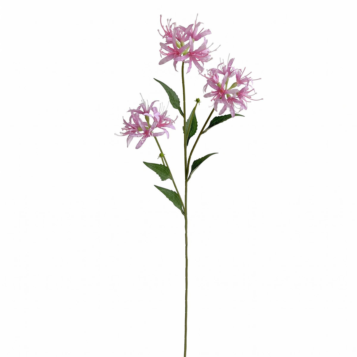 72cm Artificial Spider Lily Flower Stem