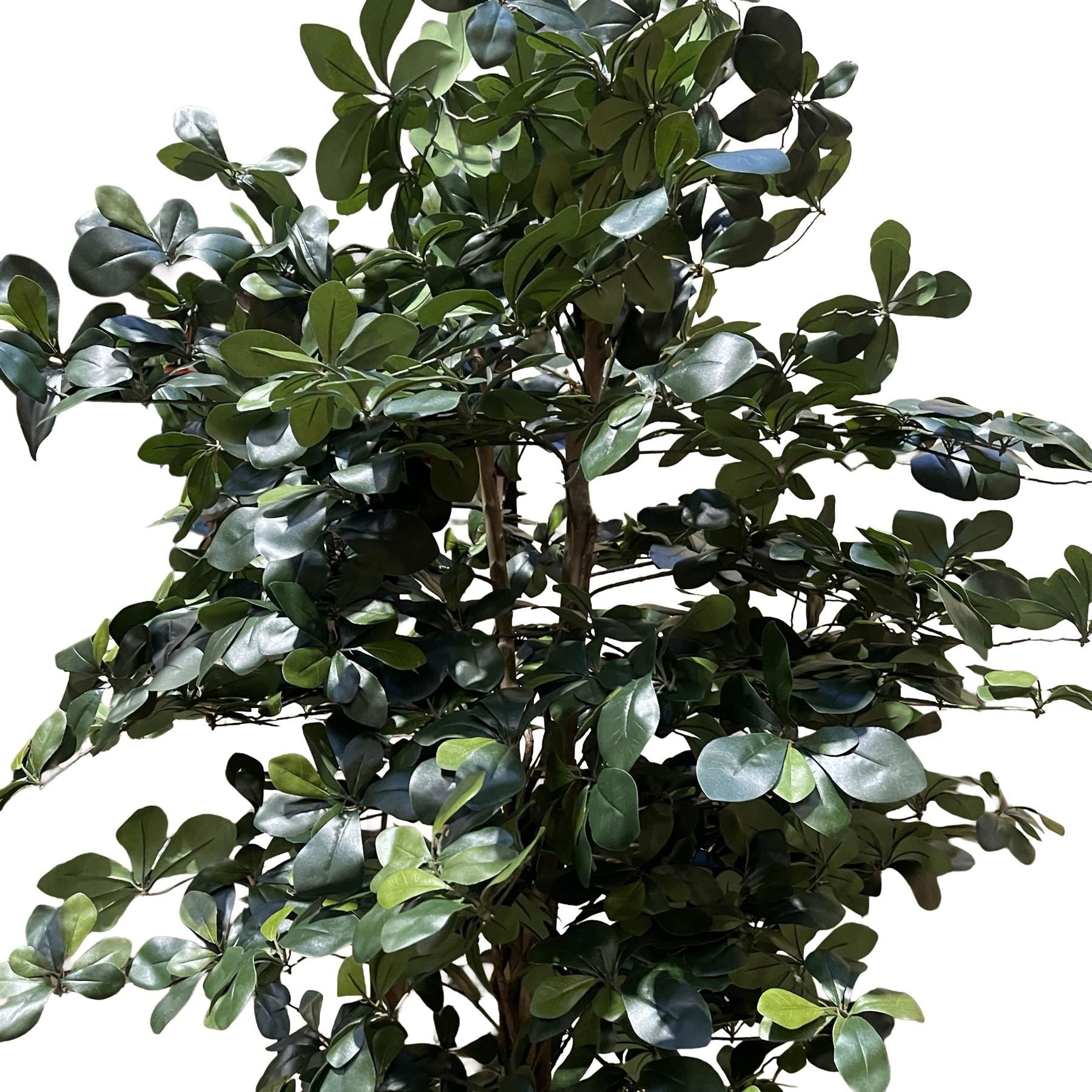 180cm künstlicher flammhemmender schwarzer Olivenbaum mit 2925 Blättern und Naturstamm