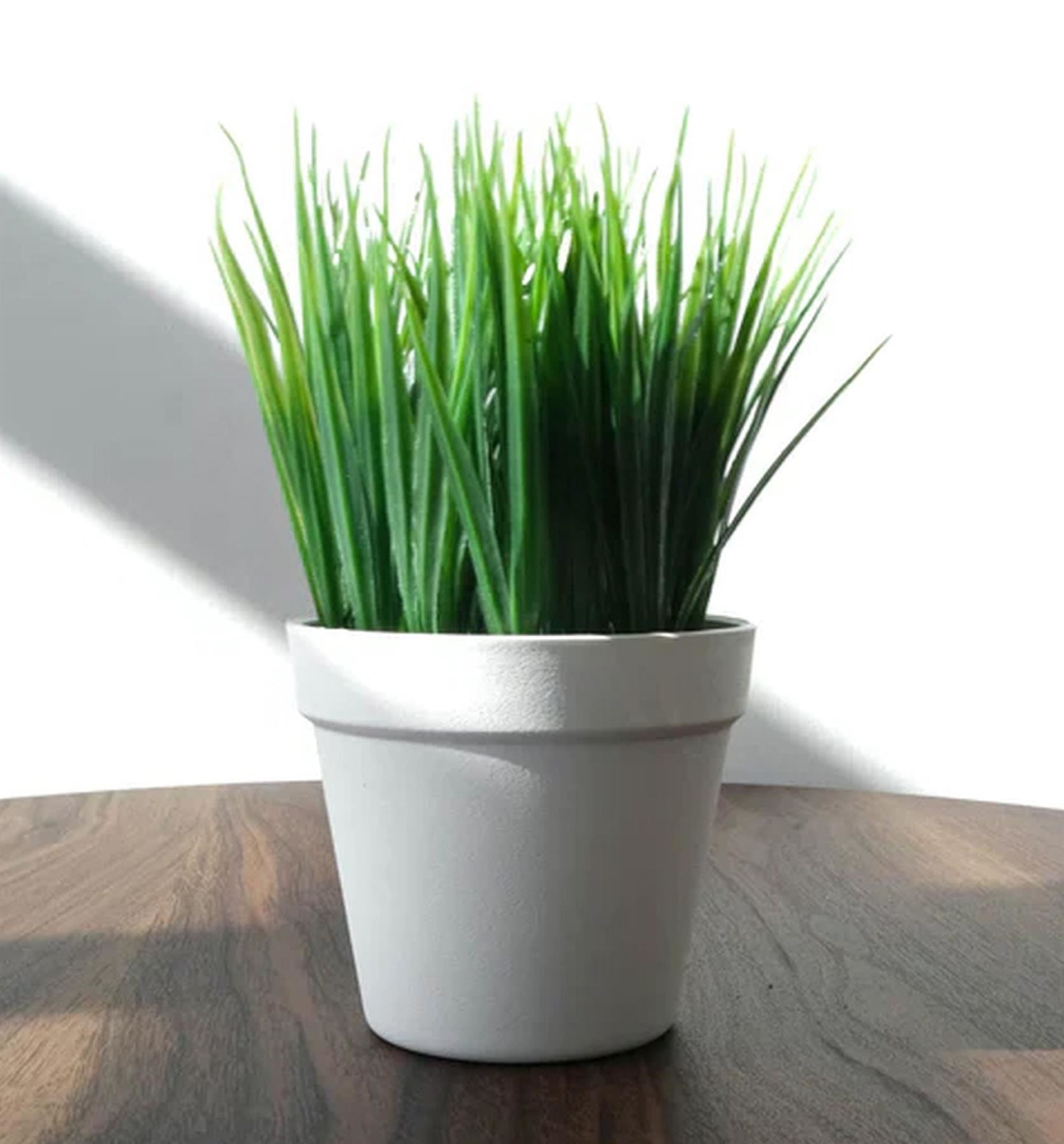 22cm Artificial Grass Plant Potted Mini Display