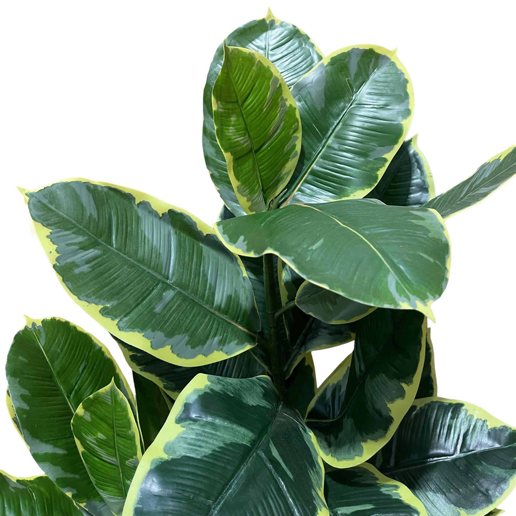 120cm Artificial Rubber Tree – image 4