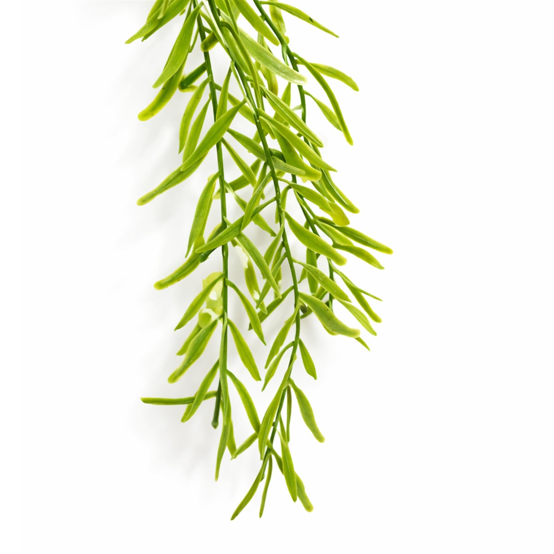 Plante artificielle suspendue style Rhipsalis, 100 cm, extrémités vert clair