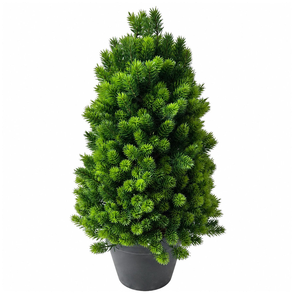 34cm Artificial Mini Pine Tree in Black Pot – image 3