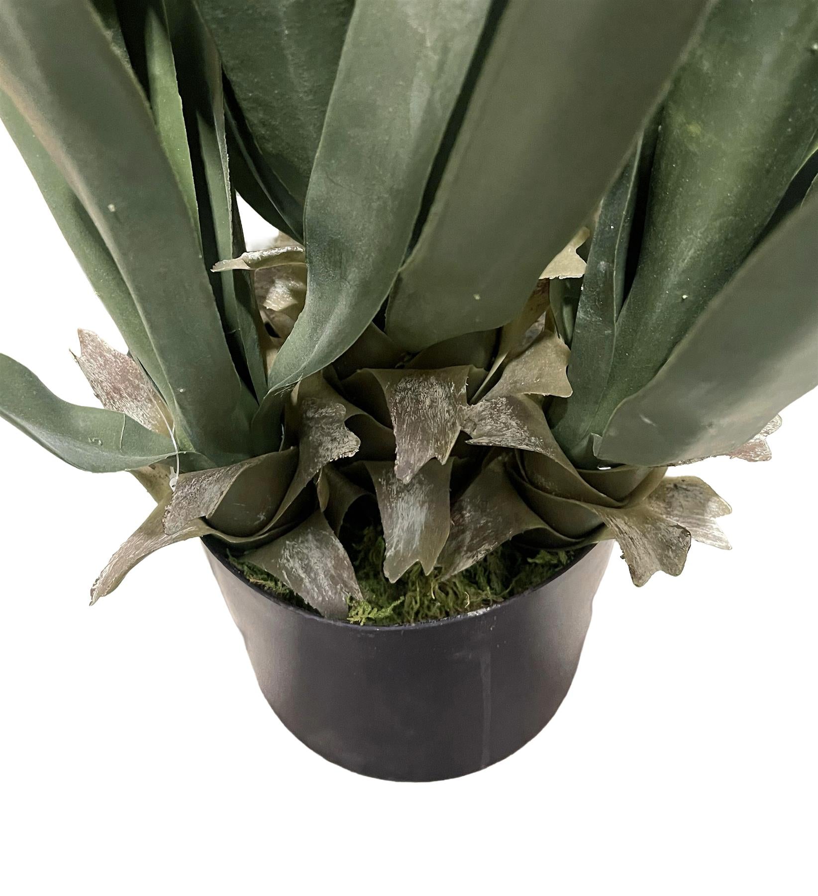 70cm Artificial Yucca Plant – image 3