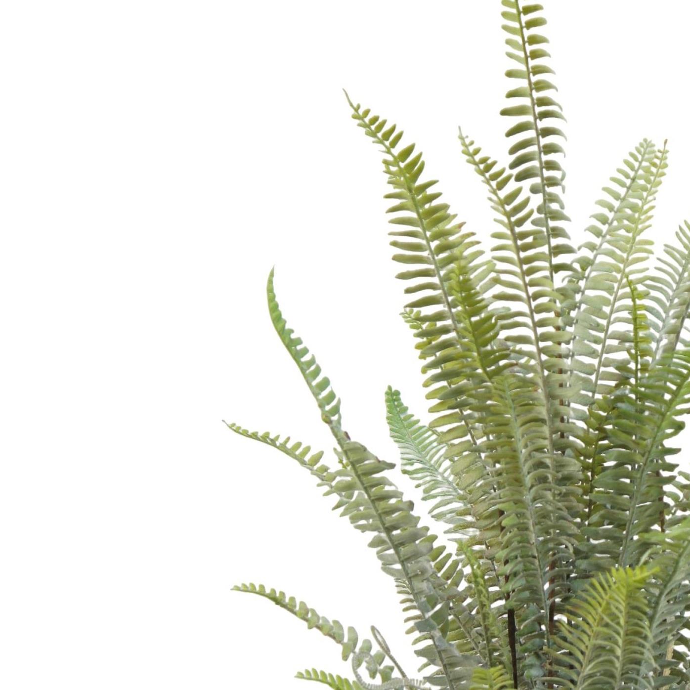 74cm Artificial Fern Plant