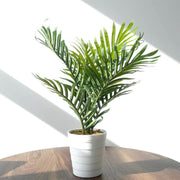 50cm Artificial Mini Palm Tree Realistic Potted