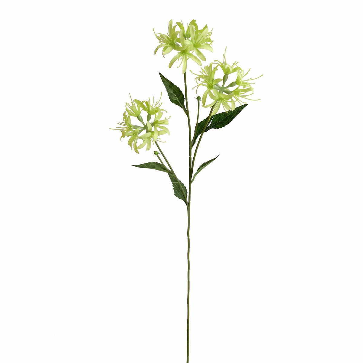 72cm Artificial Spider Lily Flower Stem