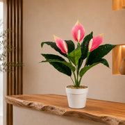 38cm Artificial Pink Peace Lily Plant in White Pot