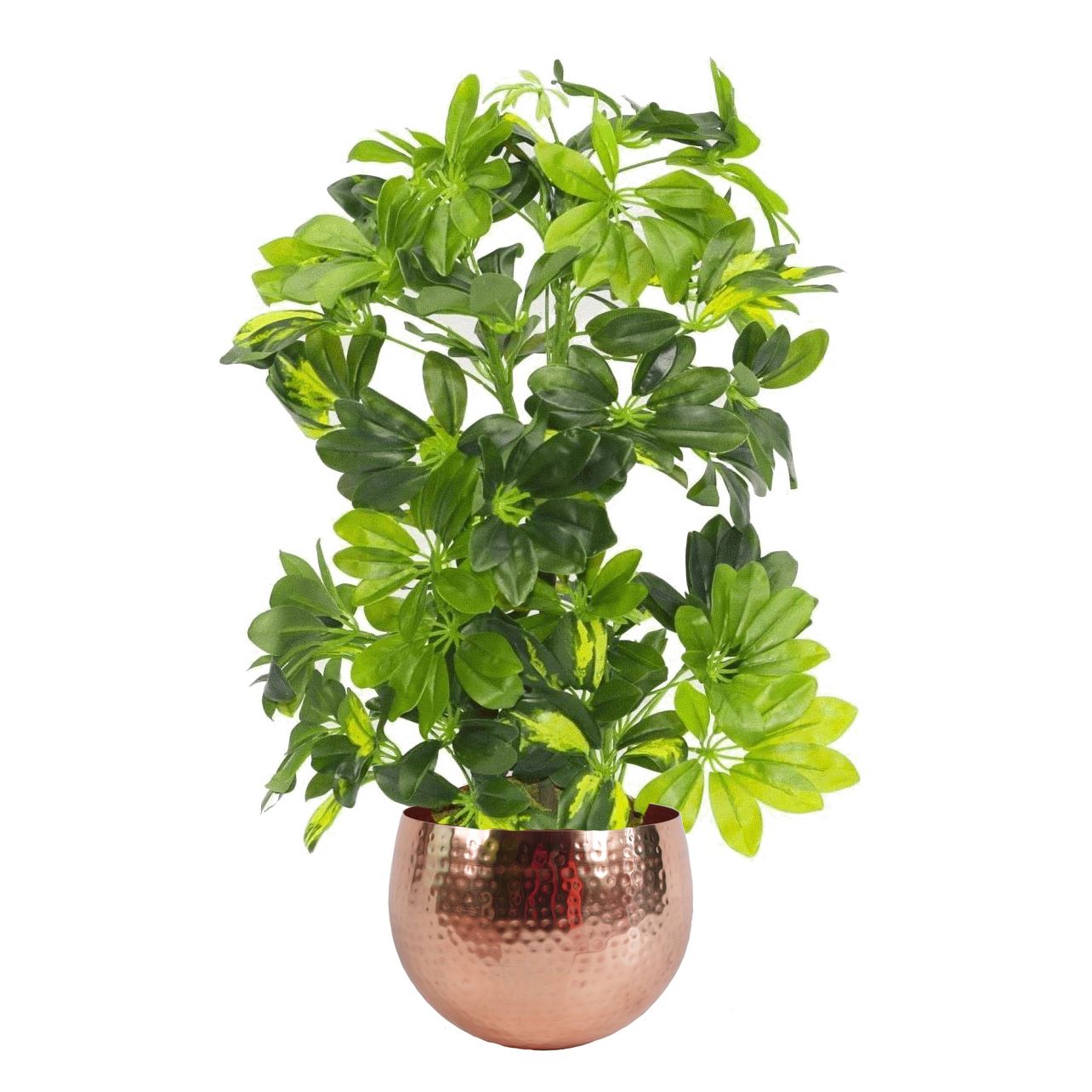 75cm Artificial Arboricola Gold Capella Plant