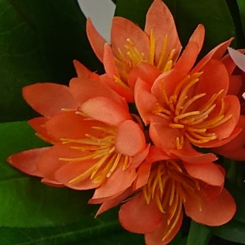 18cm Artificial Freesia Flowering Plant