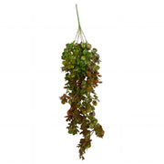 75cm Artificial Trailing Round Leaf Hanging Foliage Plant - Autumn Green & Bronze - Single Plant