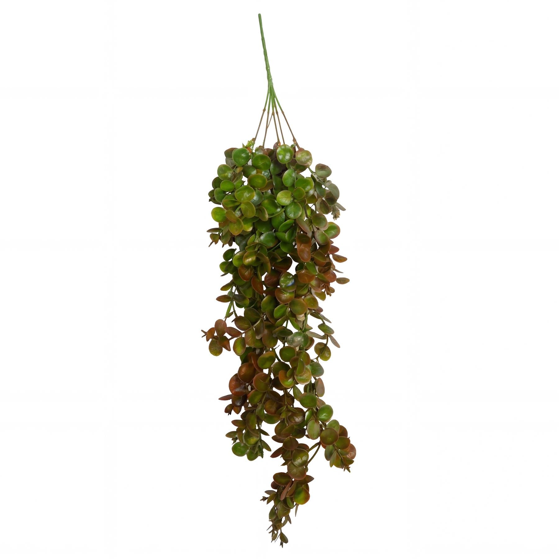75cm Artificial Trailing Round Leaf Hanging Foliage Plant - Autumn Green & Bronze - Single Plant