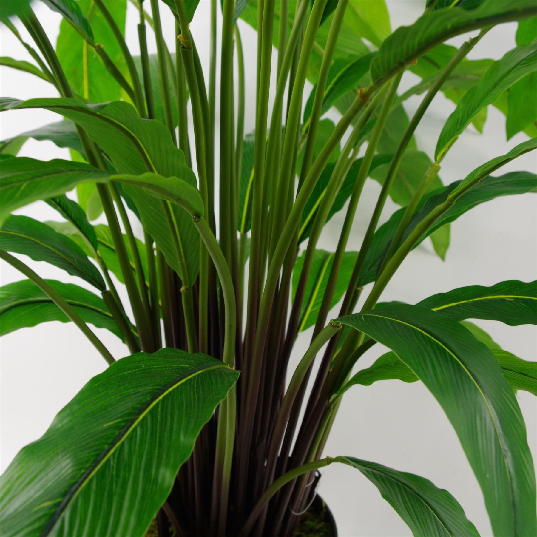 90cm Artificial Calathea Evergreen Plant