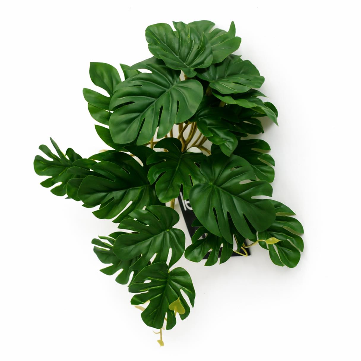 25cm Realistic Monstera Stem Plant - Dark Green