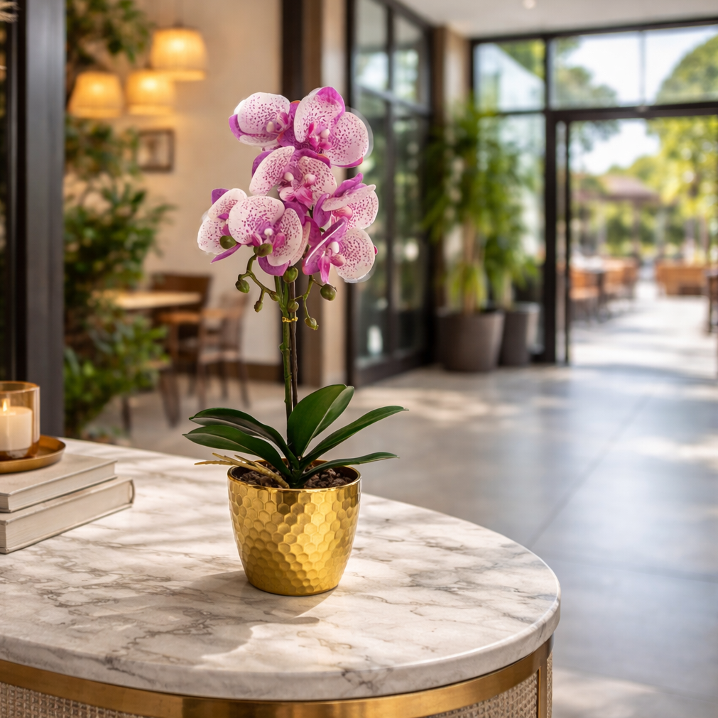 50cm Phalaenopsis Orchid Artificial - Purple / White - Gold Pot