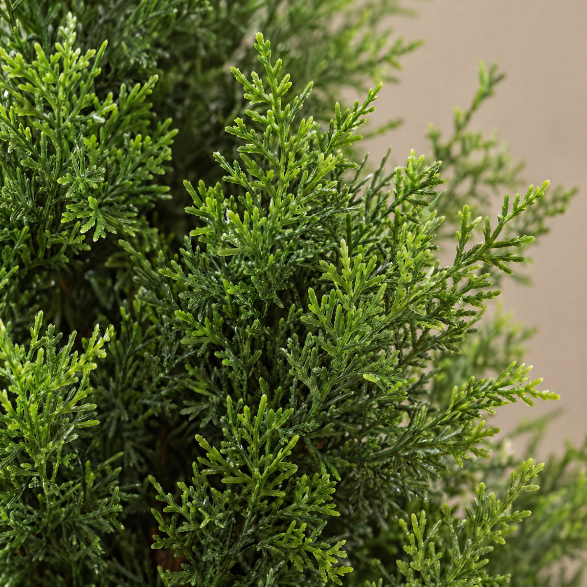 Artificial Cypress Topiary Tree With Natural Wood Trunk