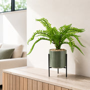 40cm Artificial Fern with Ceramic Planter & Stand