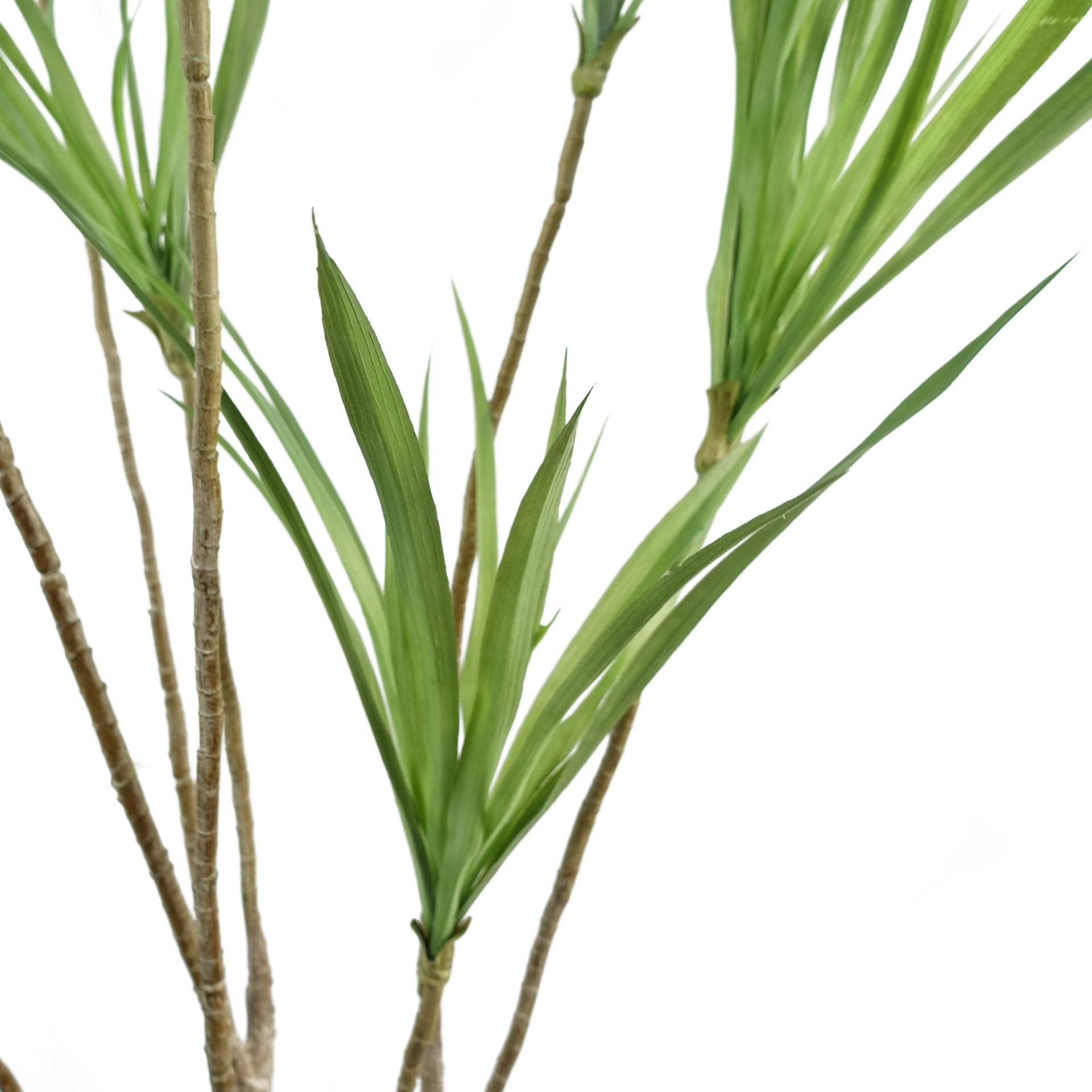 125cm Dragon Tree Dracaena Plant Natural Look Artificial