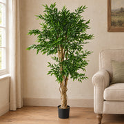 140cm UV Resistant Artificial Ruscus Tree- 2716 leaves