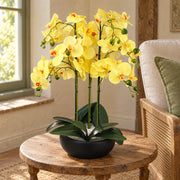 60cm Orchid Artificial Yellow - Black Ceramic Planter