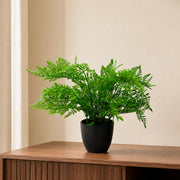 30cm Artificial Potted Southern Wood Fern Black Pot