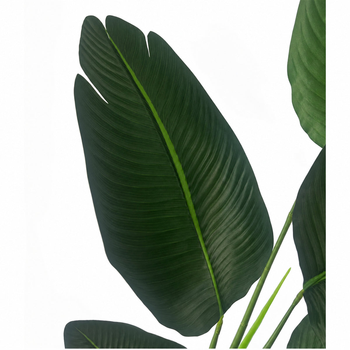 120cm UV Resistant Artificial Traveller Banana Palm Tree