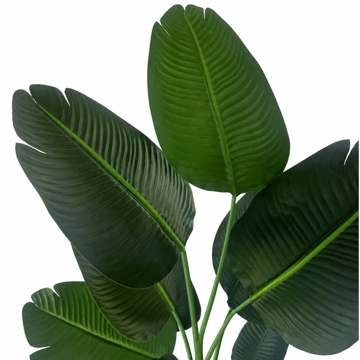 150cm UV Resistant Artificial Traveller Banana Palm Tree