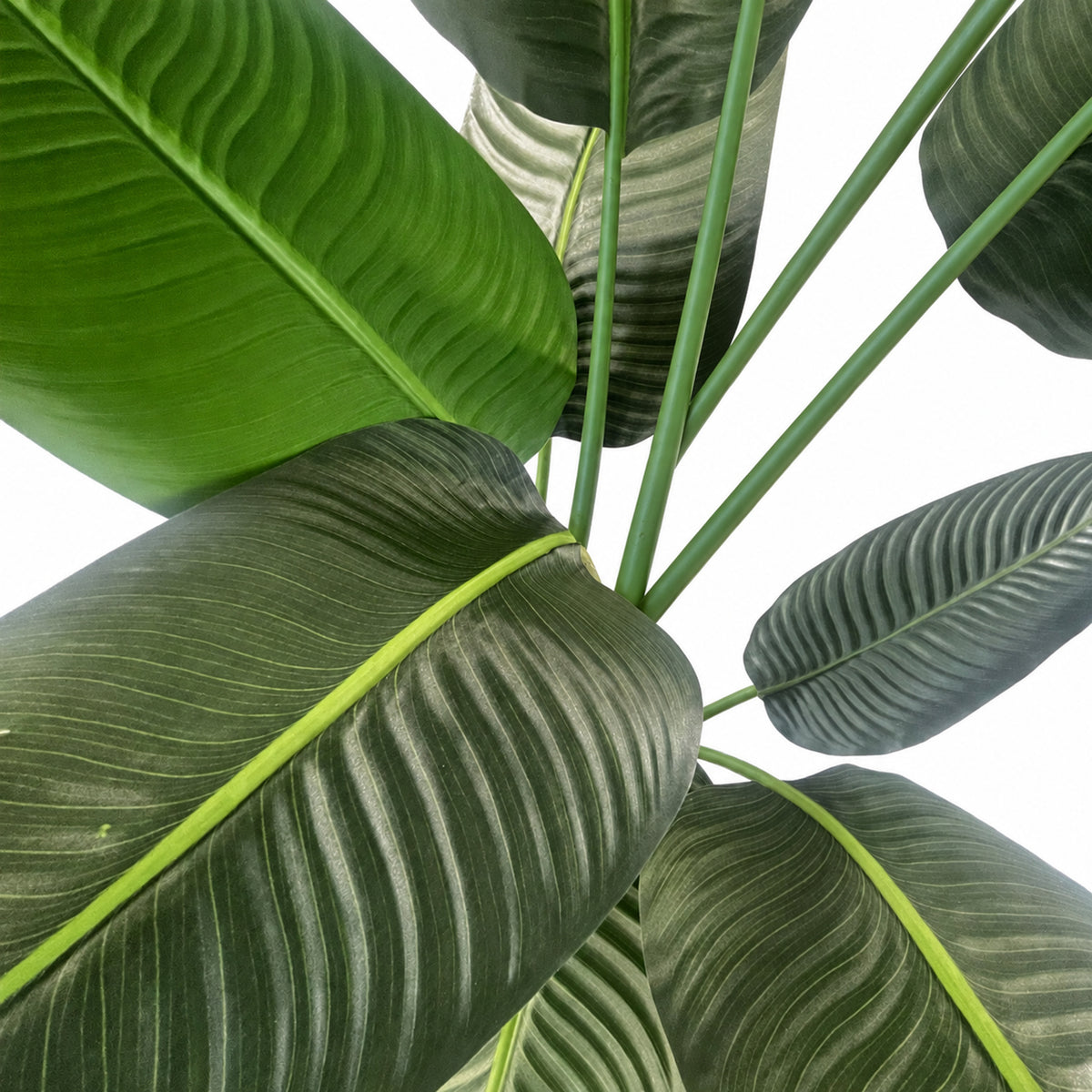 150cm UV Resistant Artificial Traveller Banana Palm Tree – image 4