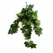 70cm Artificial Trailing Grape Ivy Plant Faux Hanging Foliage - Green - Single Plant