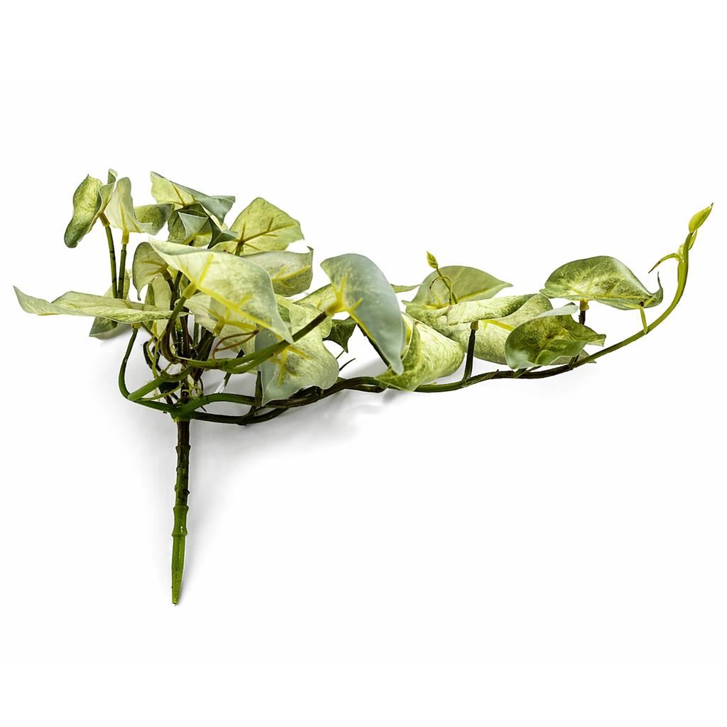 Plante artificielle de vigne Caladium panachée retombante vert clair 25 cm