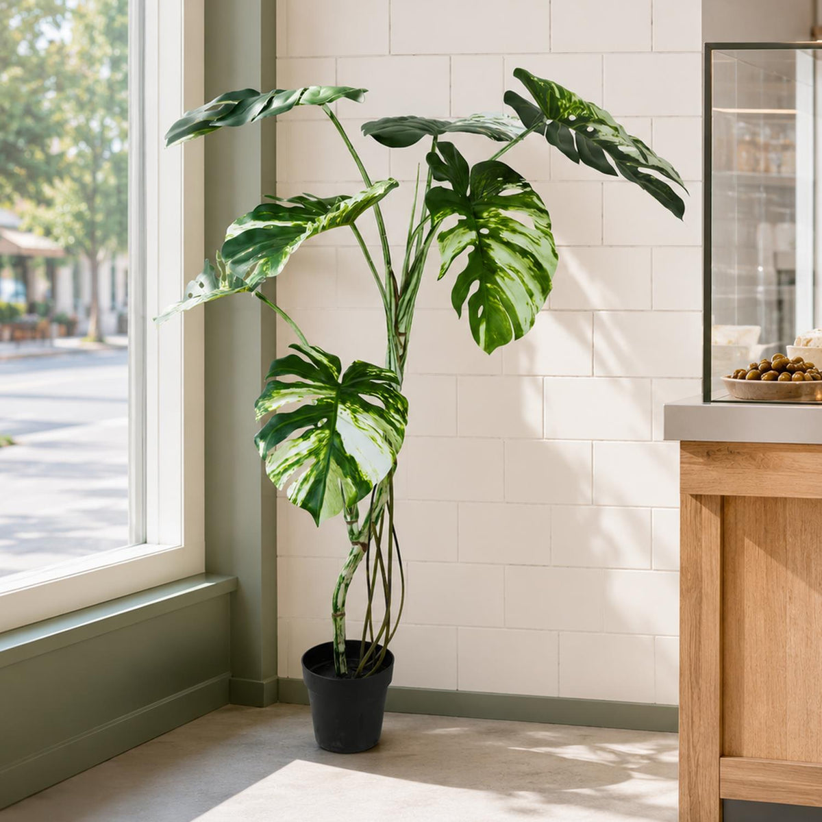 120cm Artificial Variegated Monstera Tree