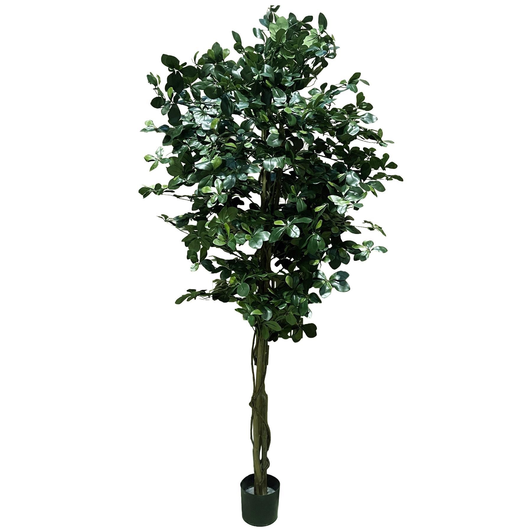 180cm Artificial Fire Retardant Black Olive Tree with 2925 Leaves and Natural Trunk