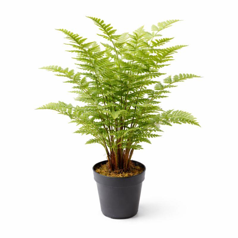 75cm Artificial Fern Plant