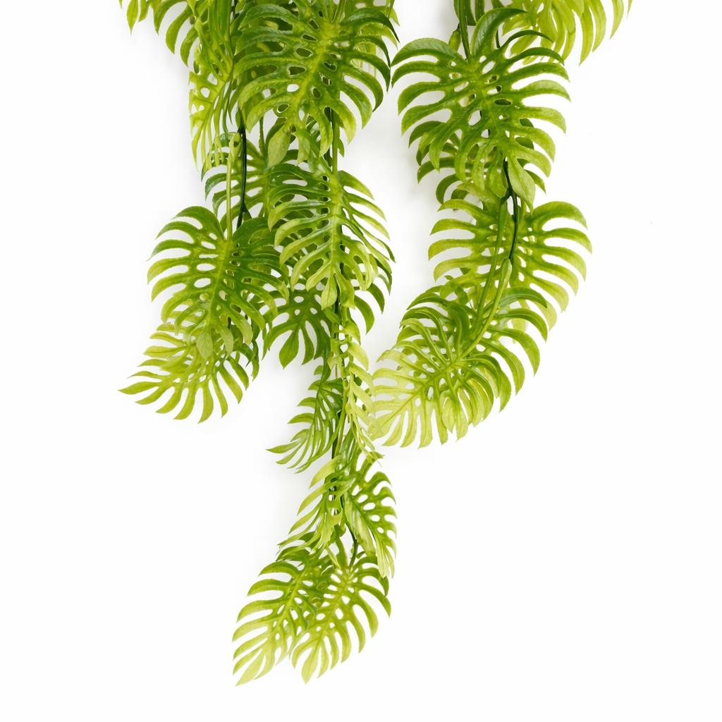 80cm künstliche Hängepflanze tropische Monstera – Hellgrün